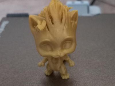 gatto groot