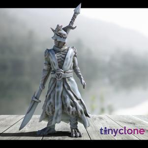 Dragonborn warrior