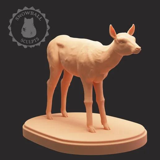 Doe Mini
