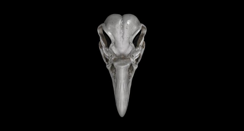 Khonshu Skull Helmet or Sculpture