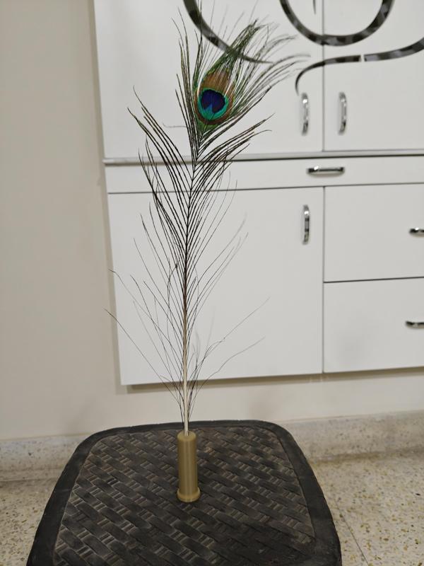 Feather Holder
