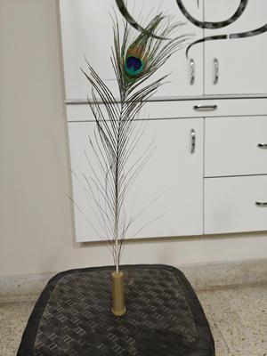 Feather Holder