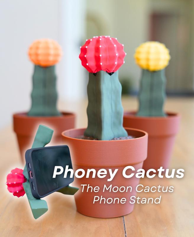 Phoney Cactus - The Moon Cactus Phone Stand
