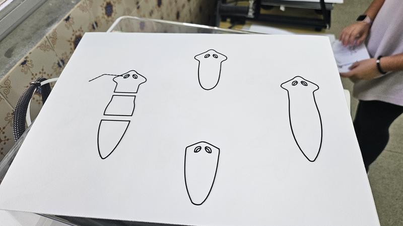 Tactile image: asexual reproduction (laceration)