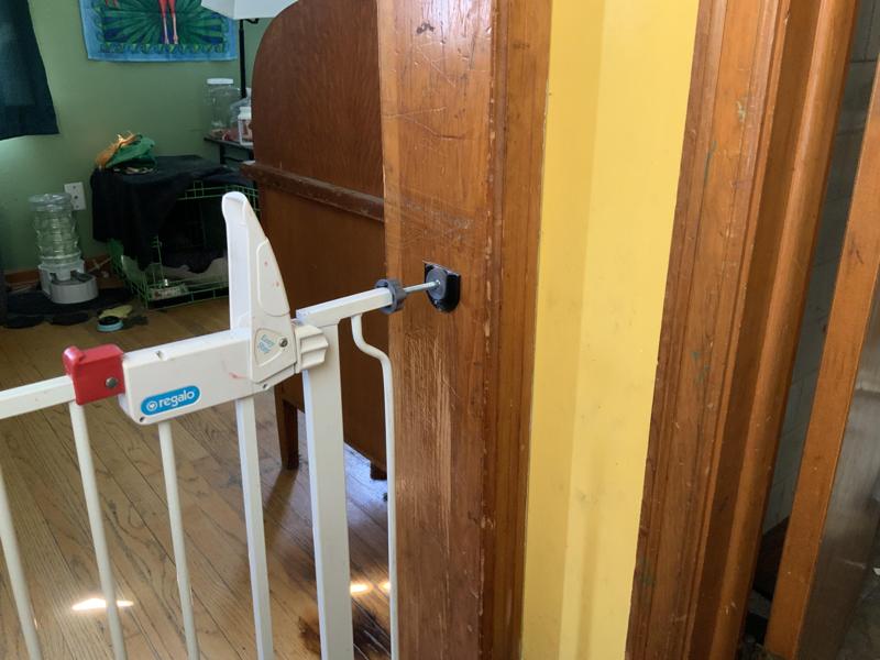 Dog gate foot holder