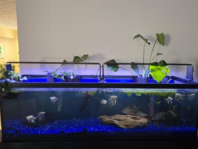 Aquarium Light Riser for Large Aquariums