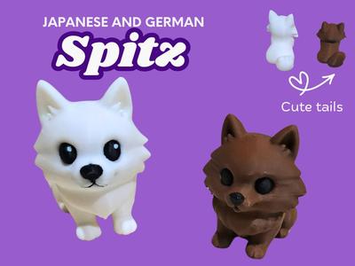 Japanese and German Spitz