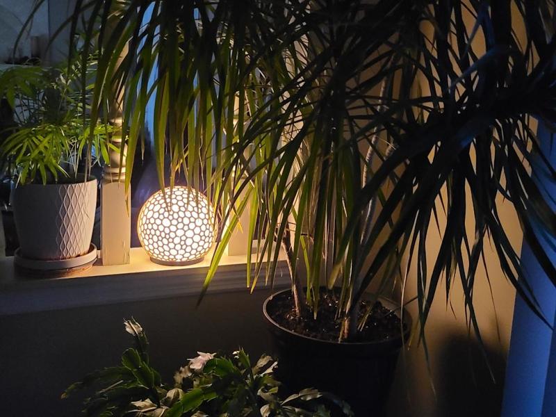 LED Desk Lamp Modern Voronoi Sphere 