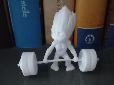 large gym weights