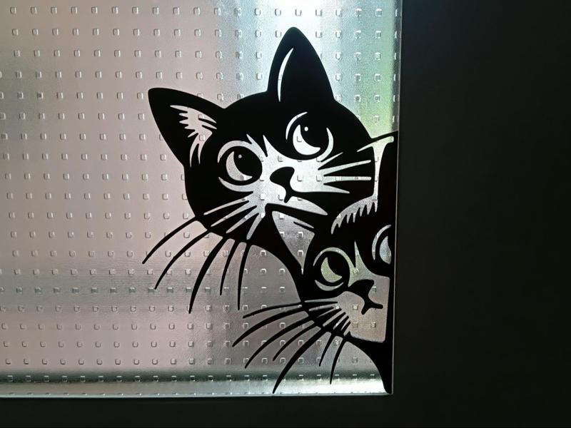 curious cats