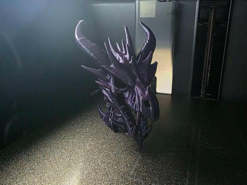 Dragon bone head