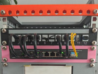 10-inch 1U 12-port patch panel