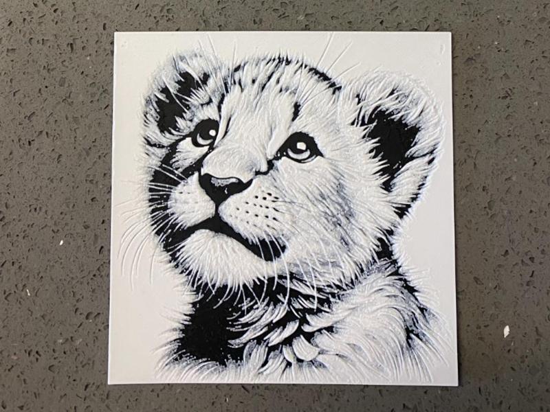 lion cub