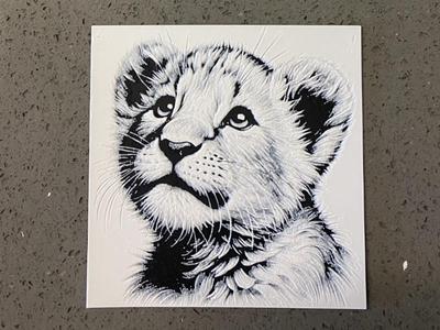 lion cub