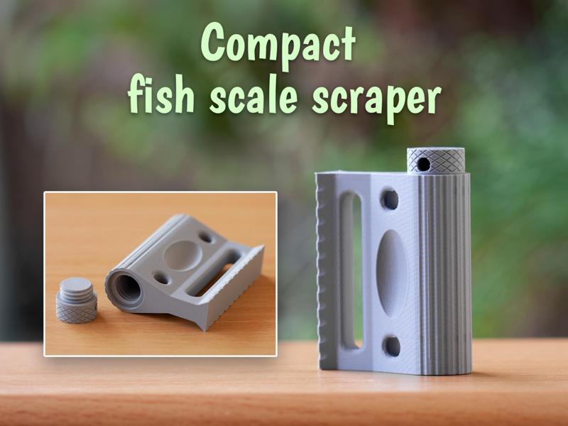 Fish scale scraper