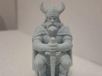 Viking warrior 