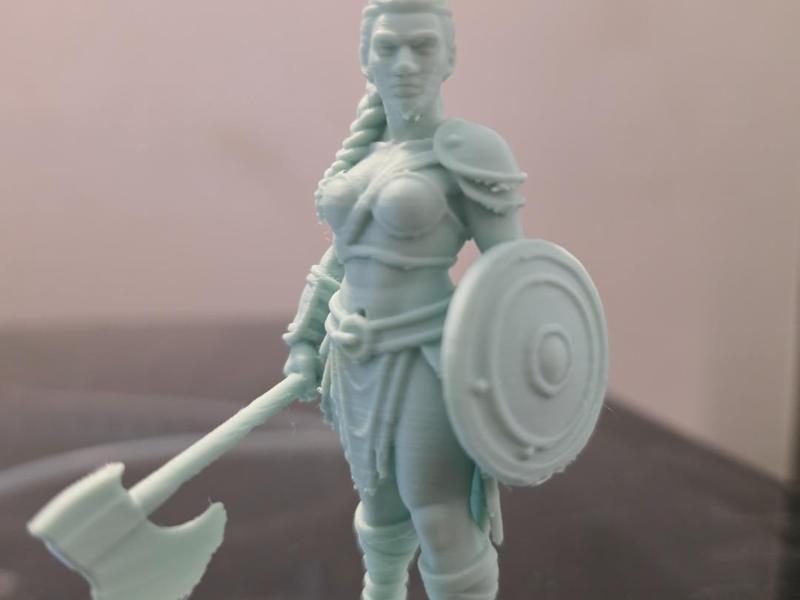 Amazon Warrior with Axe and Shield