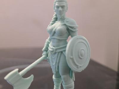 Amazon Warrior with Axe and Shield