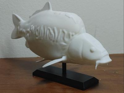 Carp Fish Mount (Mirror) 
