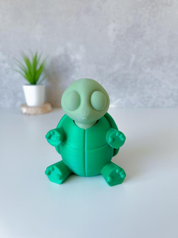 Clicky Turtle