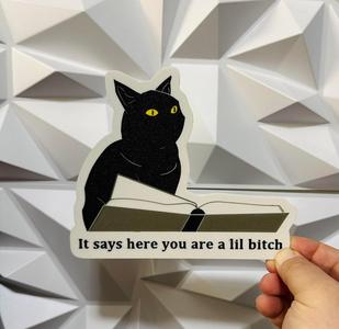 Judgemental Cat