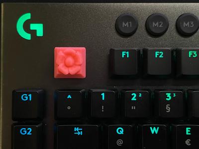 Key Caps Keyboard Logitech Flower G915 G913 G815 