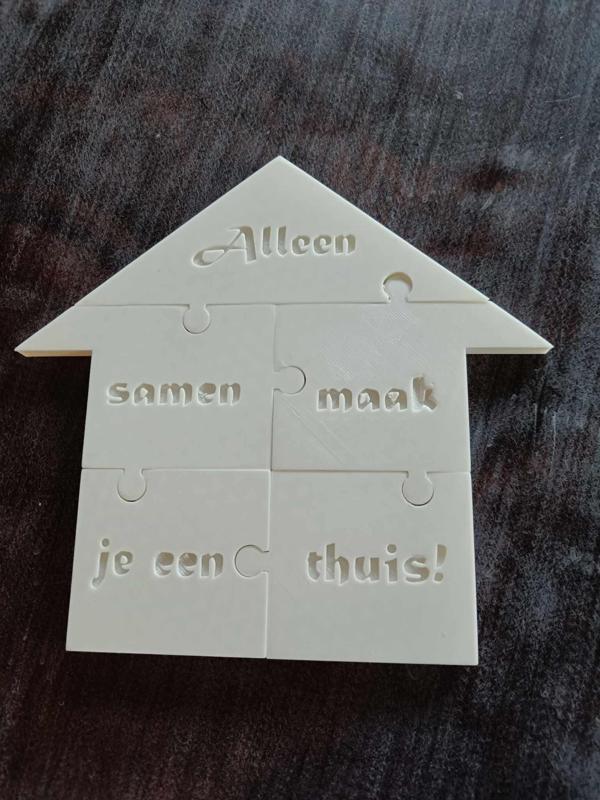 House Puzzle
