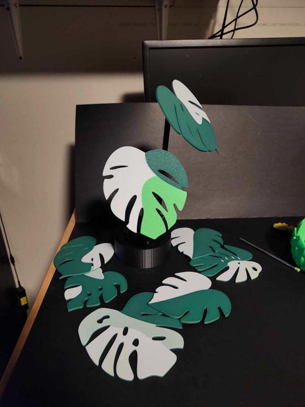 Monstera Plant Magnetic Coaster Set