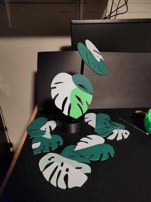 Monstera Plant Magnetic Coaster Set