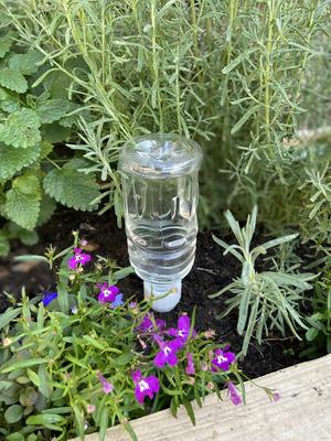 PET Bottle Watering Spikes Slow Watering