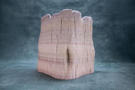 Trunk Pot (Pre Supported)