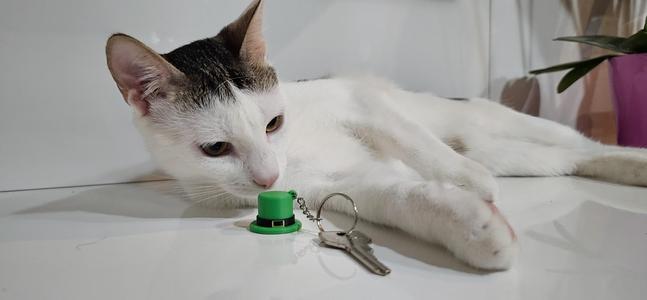 St. Patrick’s Day Leprechaun Hat Keychain