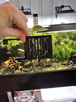 Modular Rimmed Tank Plant Holder