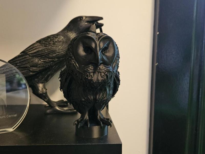 The Owl