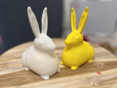 Glowing -Easter Bunny - with LED light