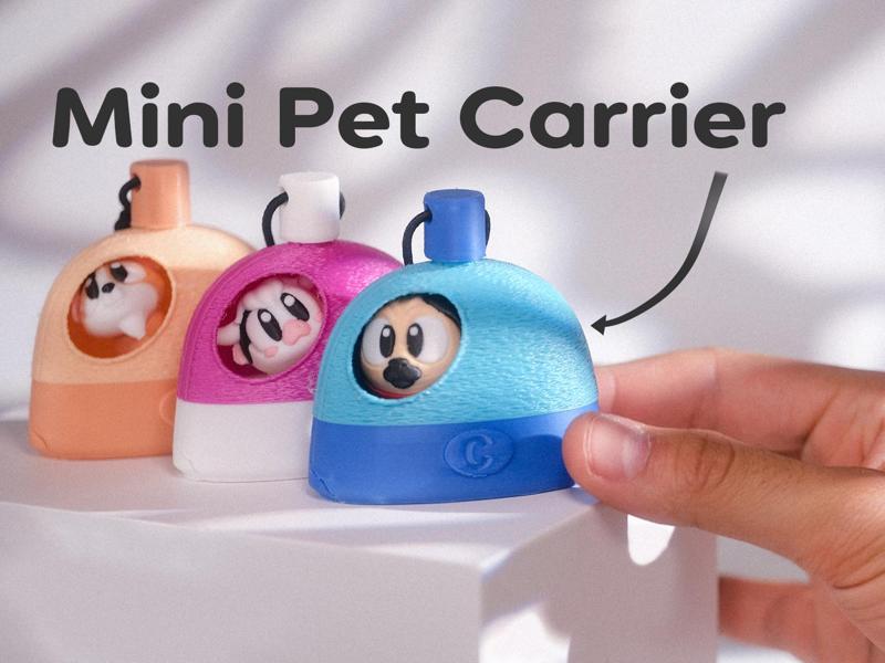 Mini Pet Carrier Keychain
