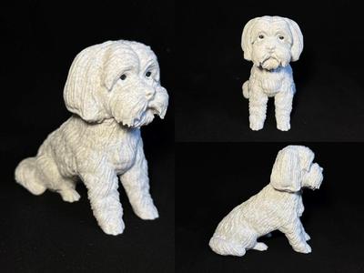Chinese Lion Dog