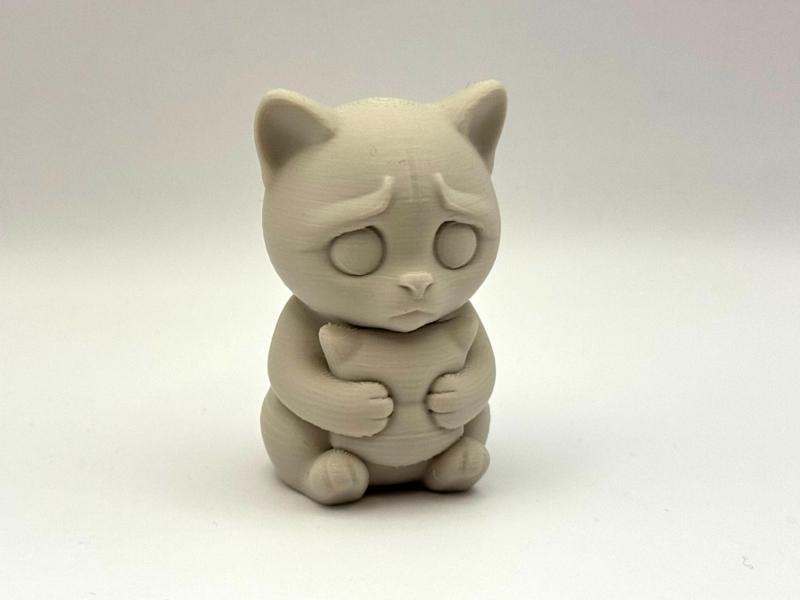 Sad Cat Buddy