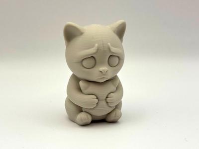 Sad Cat Buddy