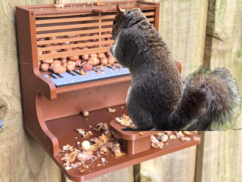 Squirrel Piano Feeder
