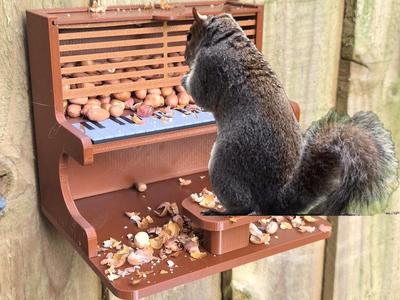 Squirrel Piano Feeder