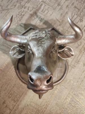 Bull head   
