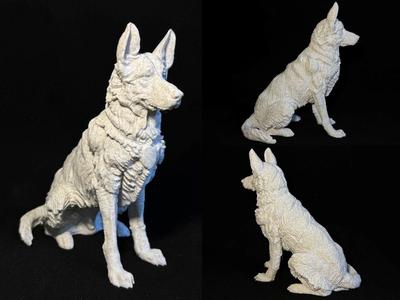German Shepherd