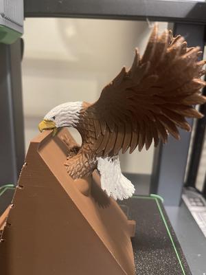 Eagle Phone holder 