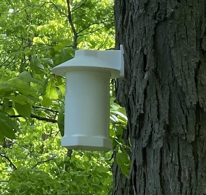 House for Eastern Bluebird