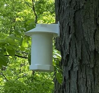 House for Eastern Bluebird