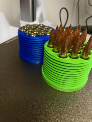 19 Round cartridge container (Medium, 308)
