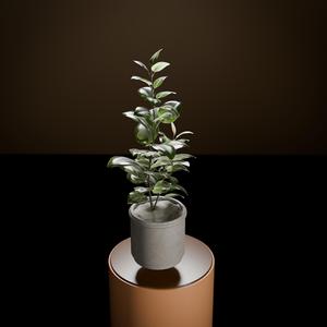 Planter - Desktop Planter - Home Decor 05