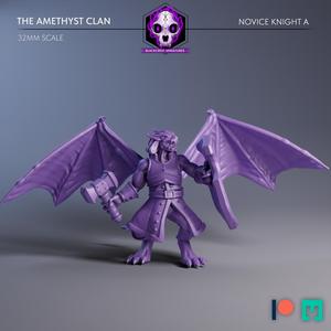 The Amethyst Clan | Novice Knight A (Unsupported)