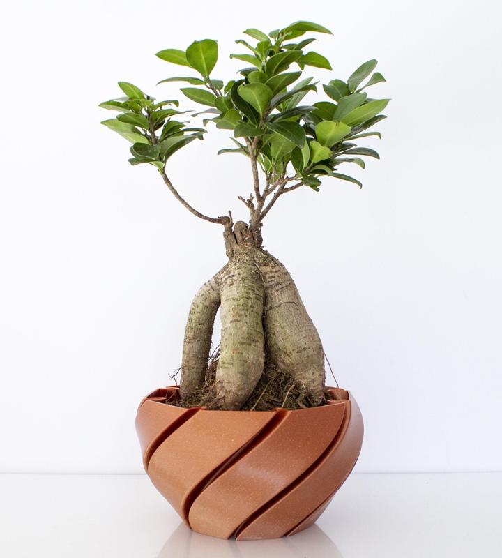 Macetero - Planter - - Jardinera impresa en 3D - 3D printed planter